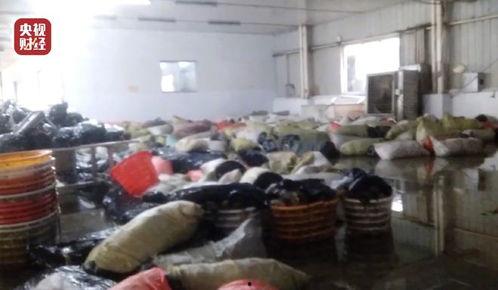 老坛酸菜员工爆料视频,揭秘食品生产内幕 第3张 老坛酸菜员工爆料视频,揭秘食品生产内幕 第3张