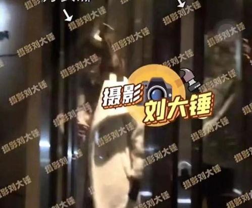 布希曼爆料视频,揭秘视频背后的惊人真相 第3张 布希曼爆料视频,揭秘视频背后的惊人真相 第3张